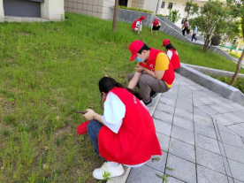 香港宝典全年资料大全