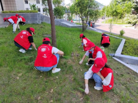 香港宝典全年资料大全